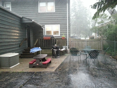 20130624_175137.jpg