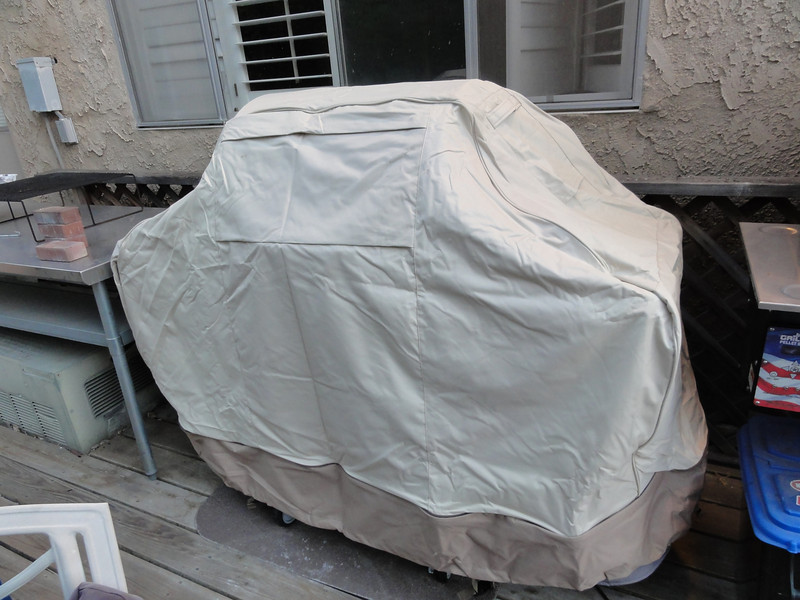 DSC02339-L.jpg