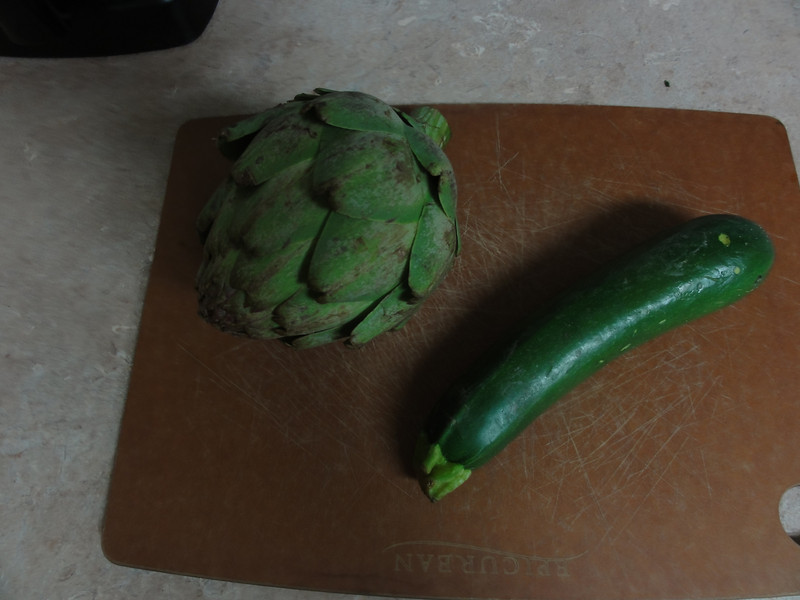 DSC02516-L.jpg