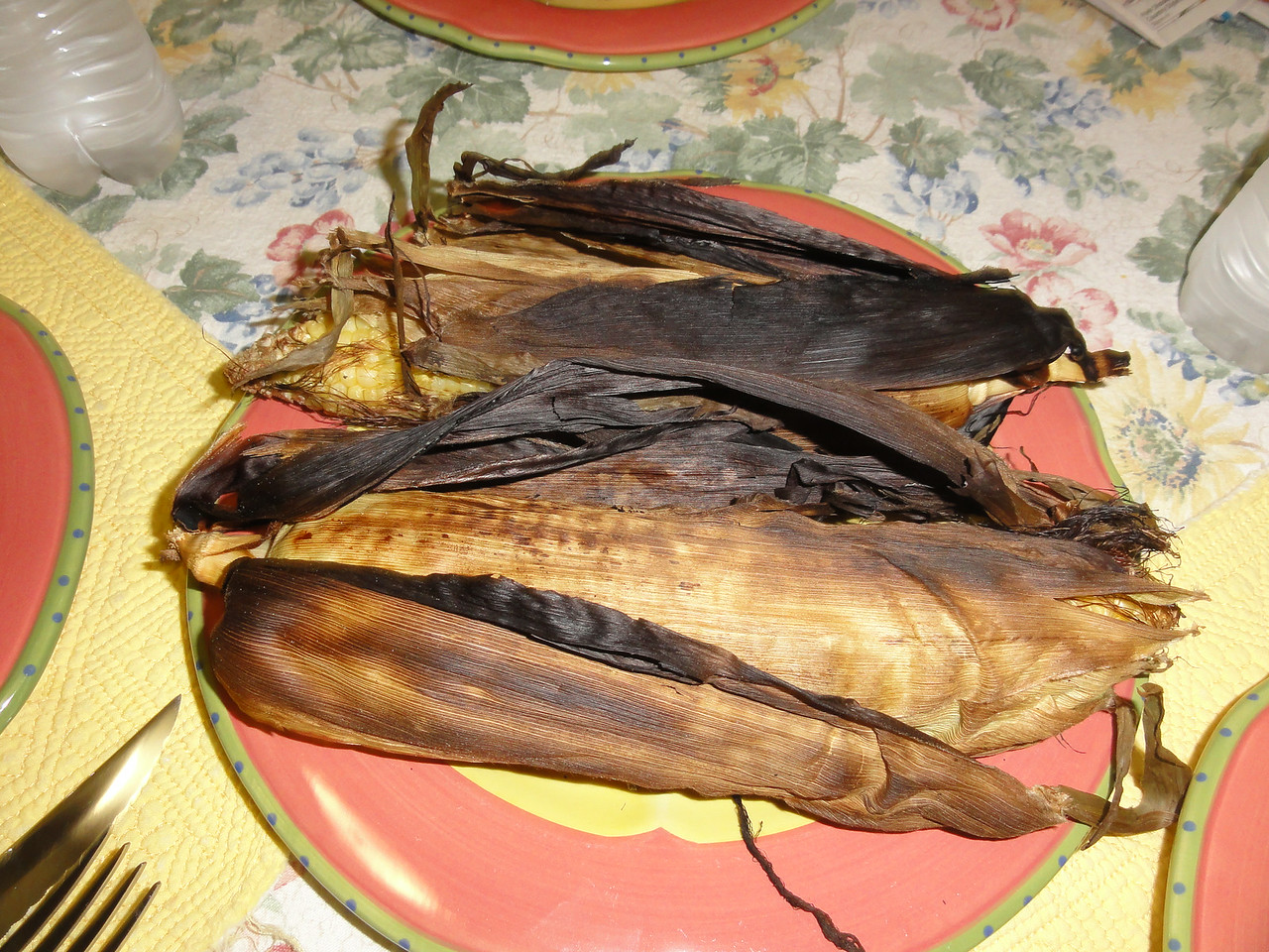 DSC03764-X2.jpg