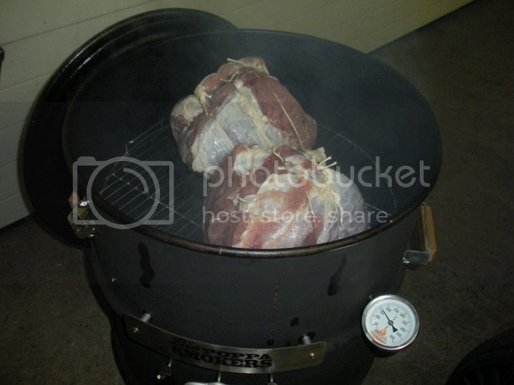 ham01-1_zps9339b2b5.jpg