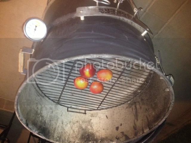 photo2_zps31fb87ef.jpg