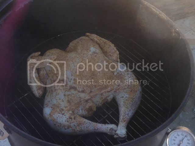 photo3_zpsb559ea12.jpg