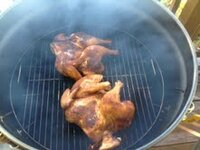 chicken2.jpg