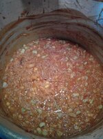 stew.jpg