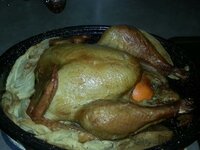 turkey 2 resting.jpg